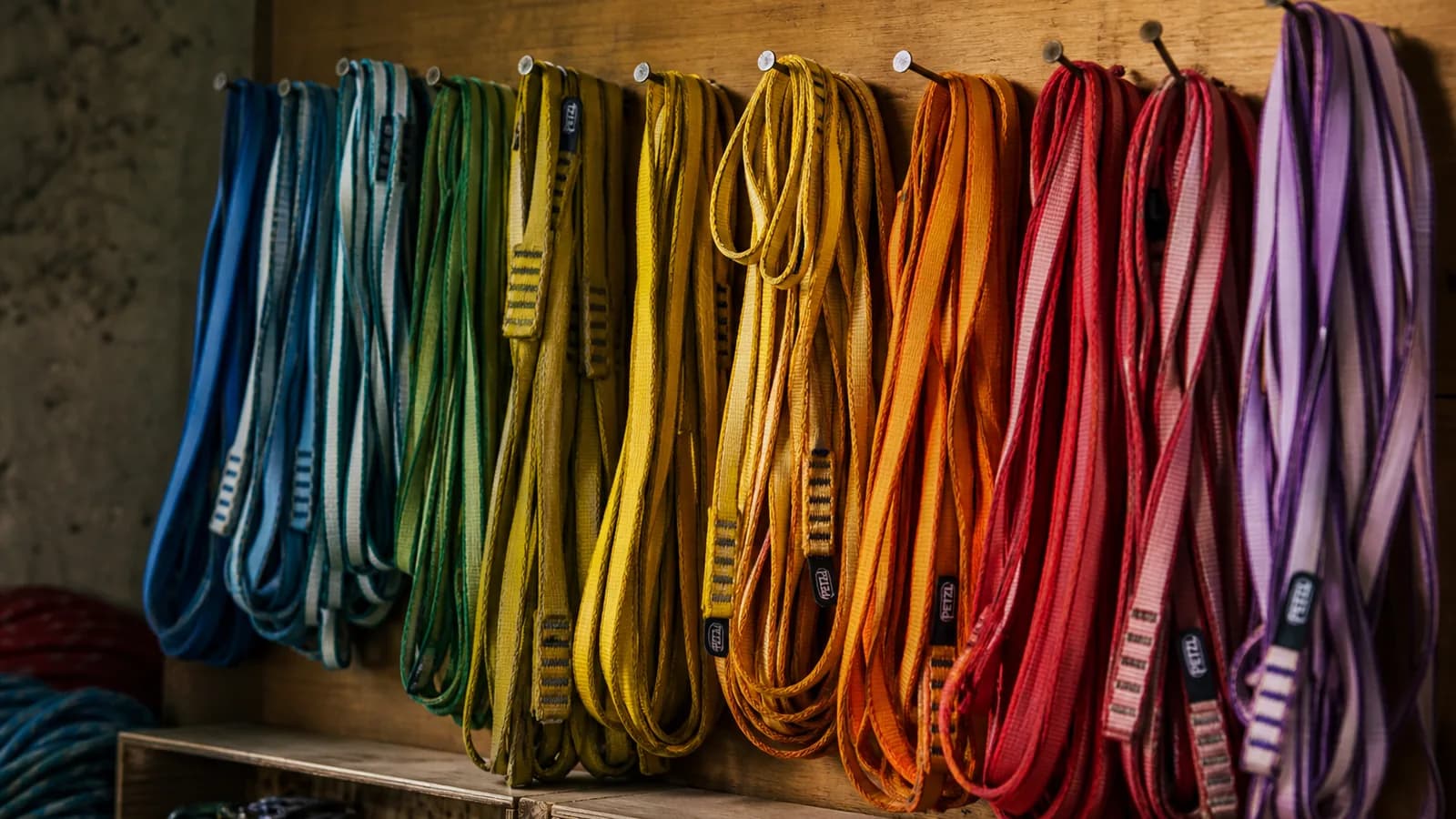 Set de sangles cousues de différentes longueurs accroché à un porte-matériel de baudrier, anneaux de 60 et 120 cm en Dyneema bleu et rouge, mousquetons à vis visibles, fond de calcaire à Buoux